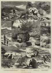 Ein Tag Angeln am Teign